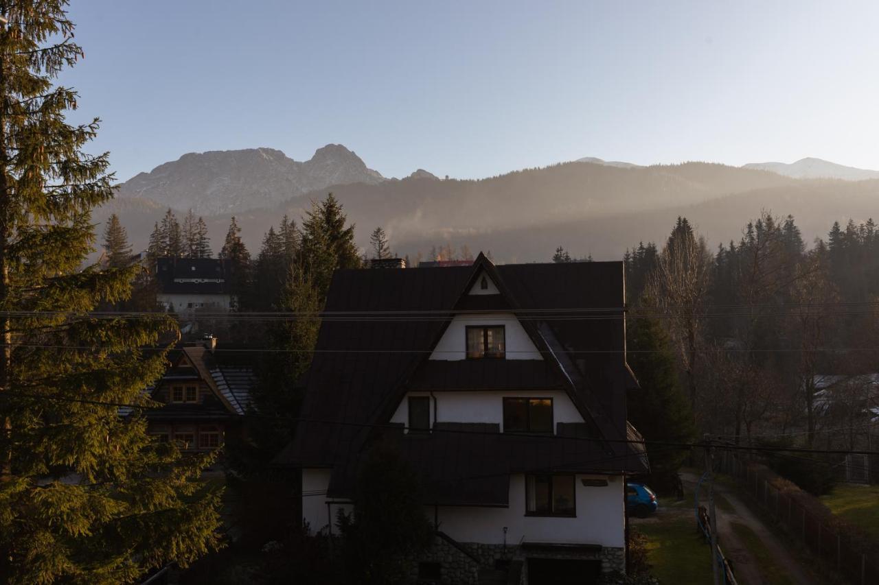Вилла Dom Nyczowka Zakopane Косцелиско Экстерьер фото